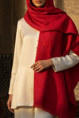 Châle Monogram Rouge Rubis D